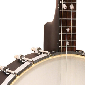 Gold Tone IT-17 Banjo