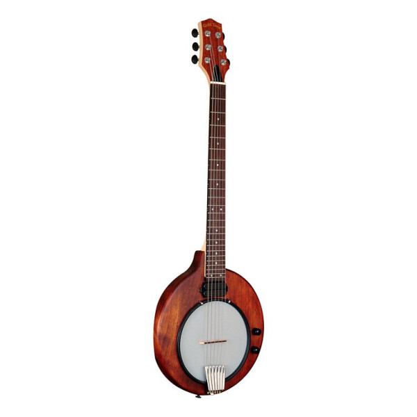 Gold Tone EB-6 Banjitar