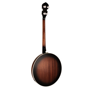 Gold Tone TS-250 Banjo