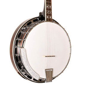 Gold Tone TS-250 Banjo