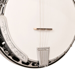 Gold Tone TS-250 Banjo
