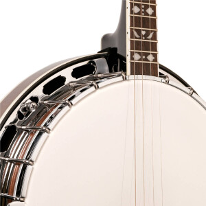 Gold Tone TS-250 Banjo