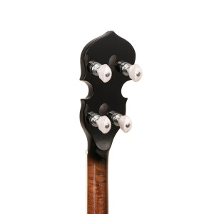 Gold Tone TS-250 Banjo