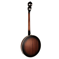 Gold Tone TS-250 Banjo