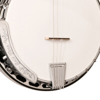 Gold Tone TS-250 Banjo
