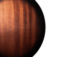 Gold Tone TS-250 Banjo