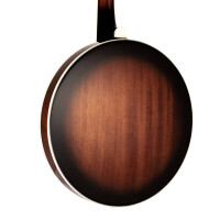 Gold Tone TS-250 Banjo