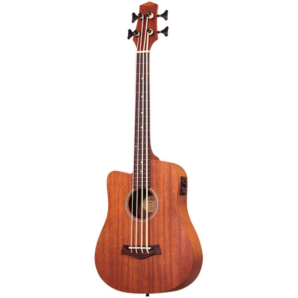 Gold Tone M-BASS FL L