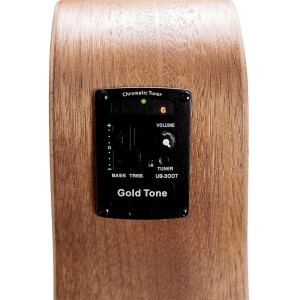 Gold Tone M-BASS25 FL L