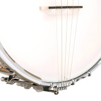 Gold Tone MM-150 Banjo