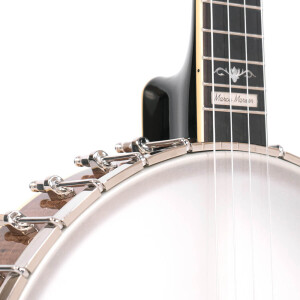 Gold Tone CEB-4 Banjo