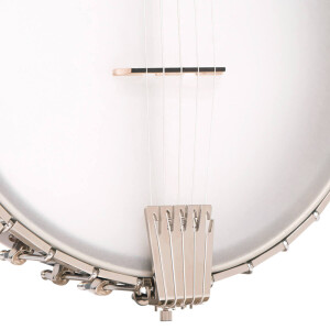Gold Tone CEB-5 Banjo