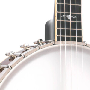 Gold Tone CEB-5 Banjo
