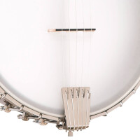 Gold Tone CEB-5 Banjo