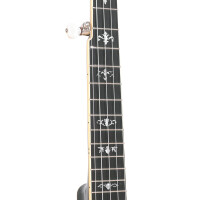 Gold Tone CEB-5 Banjo