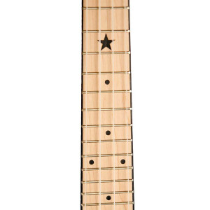 Gold Tone LG-A-LIGHTS Banjo