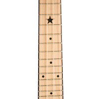 Gold Tone LG-D-LIGHTS Banjo