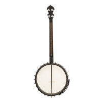 Gold Tone IT-19 Banjo