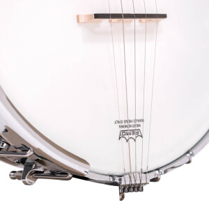 Gold Tone OT-800 Banjo