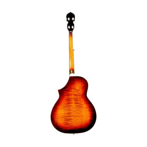 Gold Tone DOJO DLX Banjo