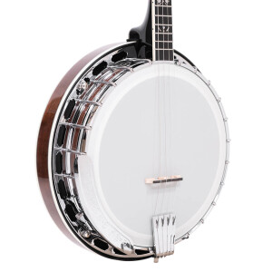Gold Tone IT-250F Banjo