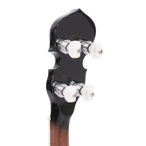 Gold Tone IT-250F Banjo