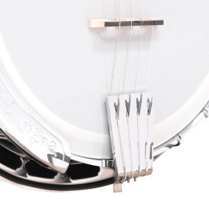 Gold Tone IT-250F Banjo