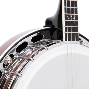 Gold Tone IT-250F Banjo