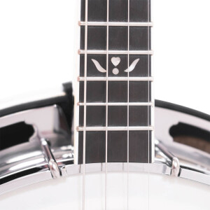 Gold Tone IT-250F Banjo