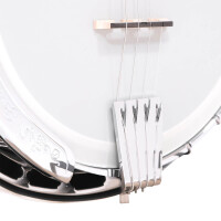 Gold Tone IT-250F Banjo