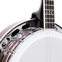 Gold Tone IT-250F Banjo