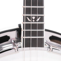 Gold Tone IT-250F Banjo