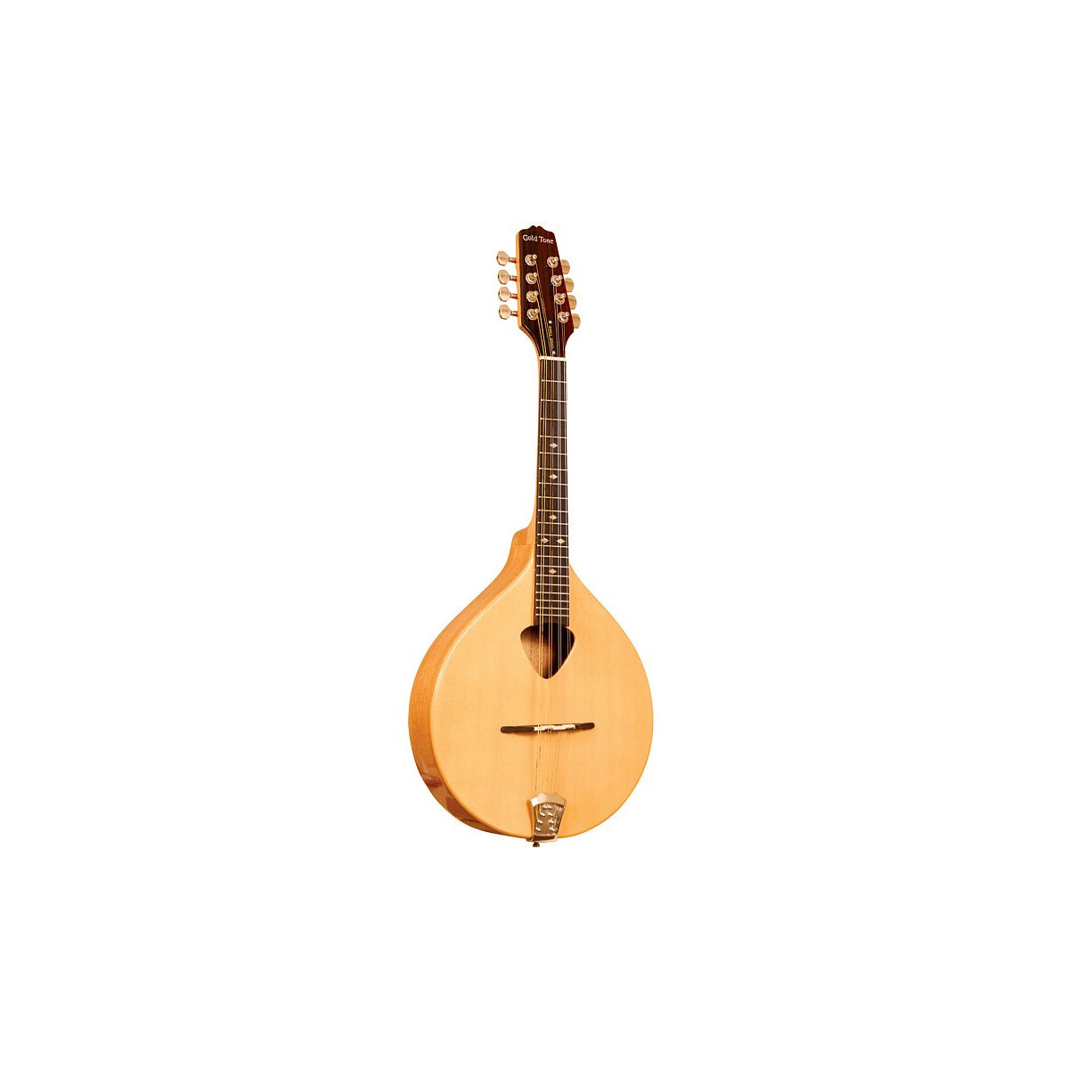 Gold Tone Mandola box
