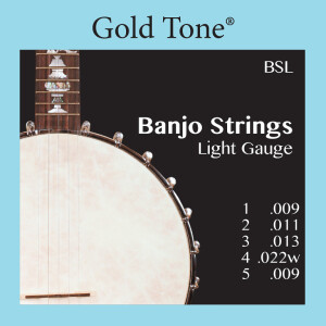 Gold Tone BSL Banjo