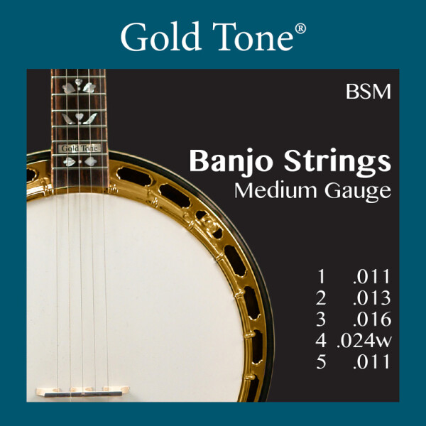 Gold Tone BSM Banjo