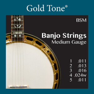 Gold Tone BSM Banjo