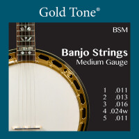 Gold Tone BSM Banjo