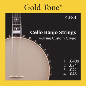 Gold Tone CES4 Banjo