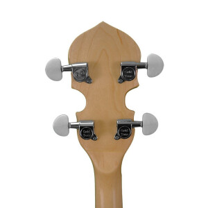 Gold Tone CC-100R L Banjo