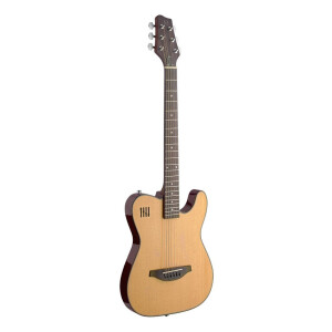 J.N. Guitars EW3000CN Westerngitarre