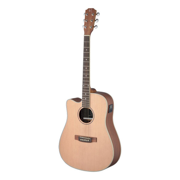 J.N.Guitars ASY-DCE LH