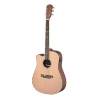 J.N.Guitars ASY-DCE LH