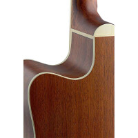 J.N.Guitars ASY-DCE LH