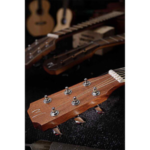 J.N.Guitars ASY-A LH