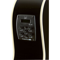 J.N.Guitars BES-ACE BK