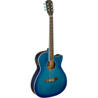 J.N.Guitars BES-ACE TBB