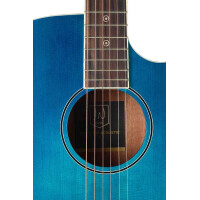 J.N.Guitars BES-ACE TBB