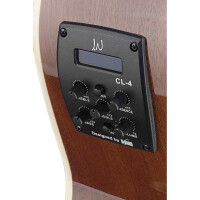 J.N.Guitars BES-ACE DCB