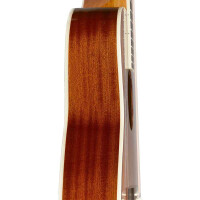 J.N.Guitars BES-A DCB