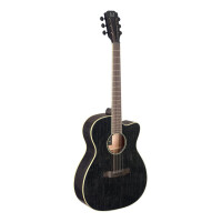 J.N.Guitars YAK-ACFI